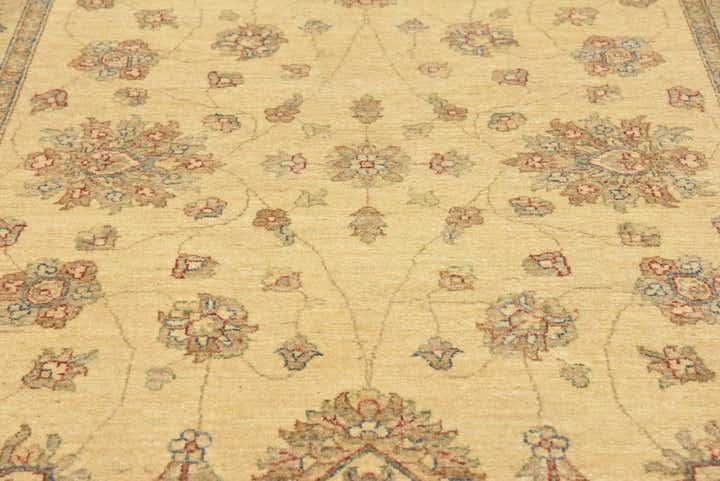 5' x 10' Hand Knotted Peshawar Ziegler Oriental Runner Rug
