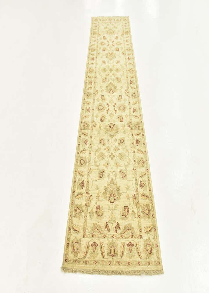 2' 8 x 9' 8 Hand Knotted Peshawar Ziegler Runner Rug