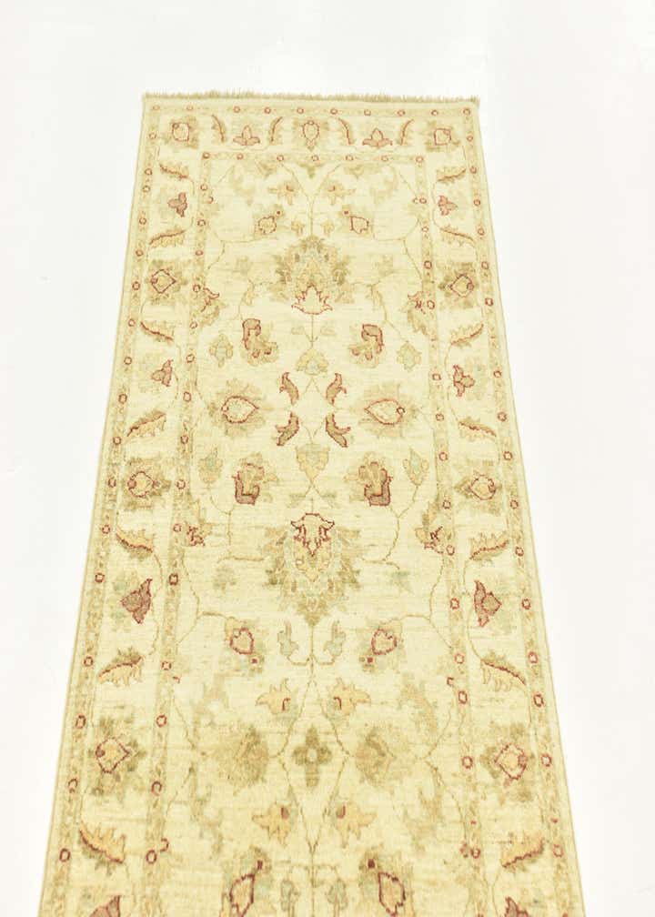 2' 8 x 9' 8 Hand Knotted Peshawar Ziegler Runner Rug