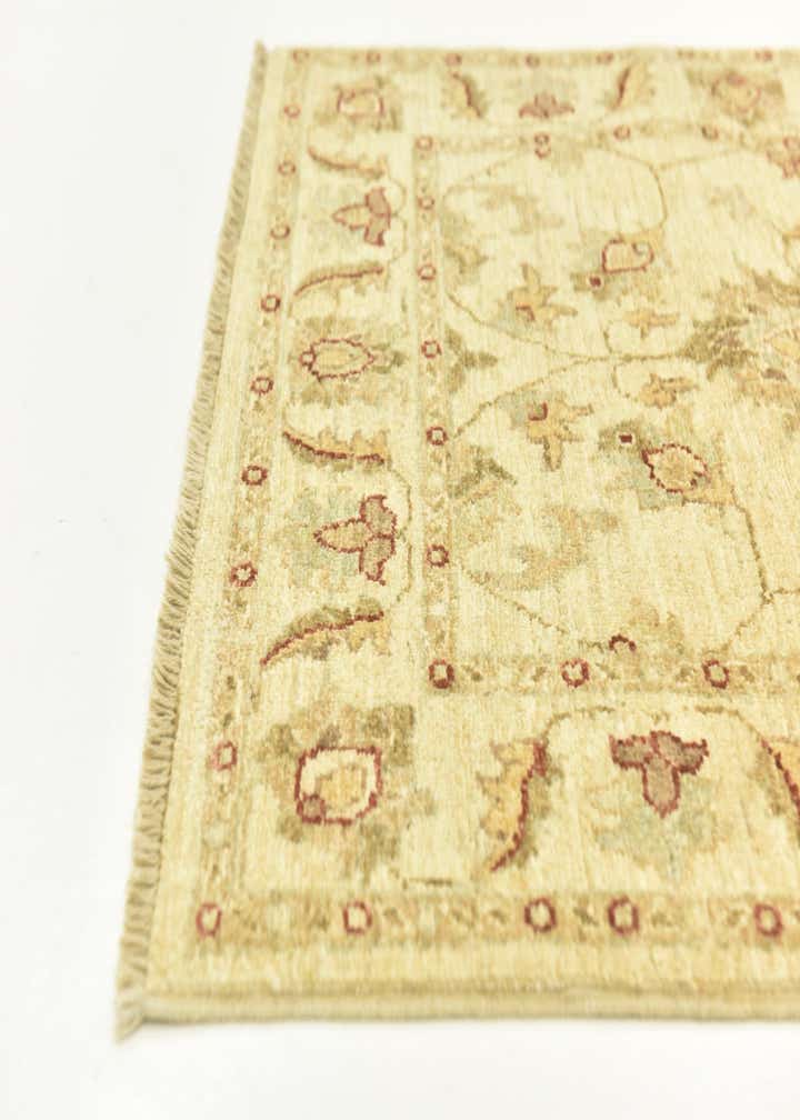 2' 8 x 9' 8 Hand Knotted Peshawar Ziegler Runner Rug