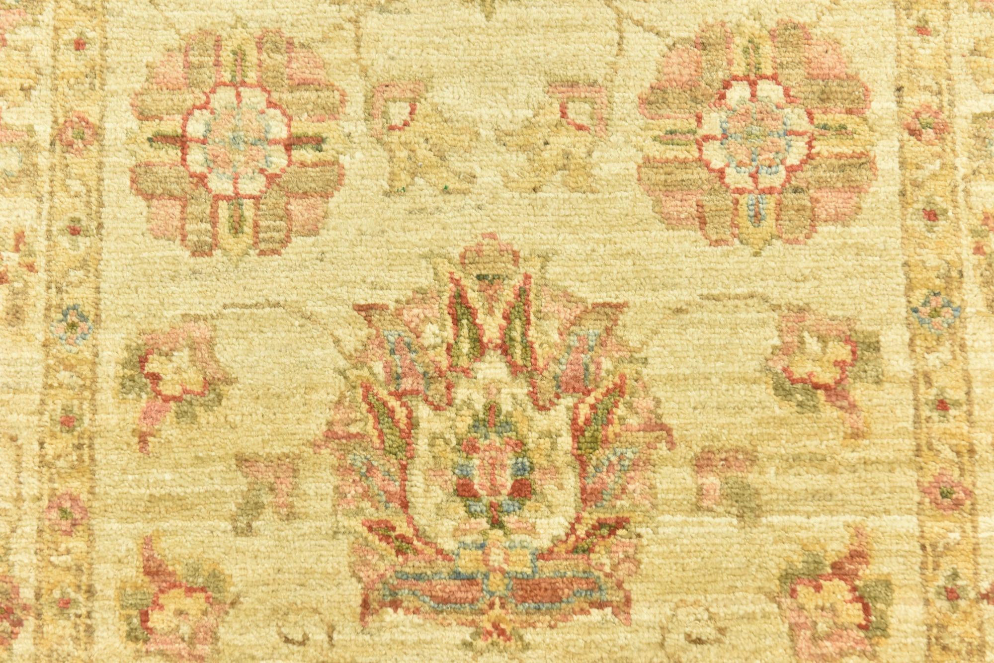 2' 8 x 9' 7 Hand Knotted Peshawar Ziegler Runner Rug