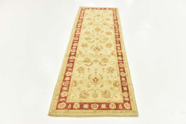 3' x 8' Hand Knotted Peshawar Ziegler Runner Rug
