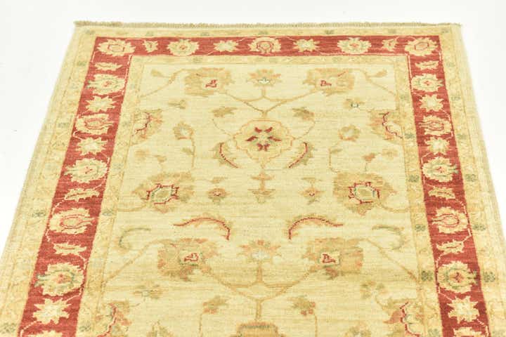 3' x 8' Hand Knotted Peshawar Ziegler Runner Rug