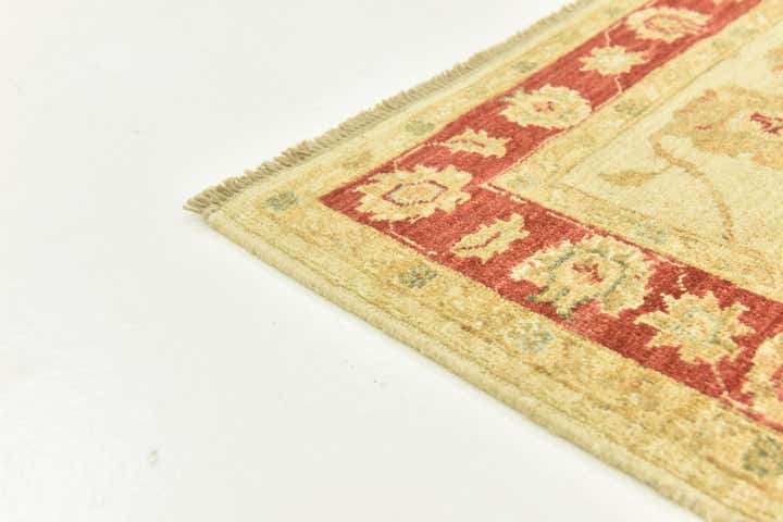 3' x 8' Hand Knotted Peshawar Ziegler Runner Rug