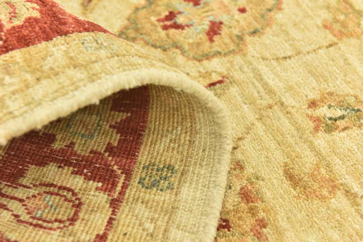 3' x 8' Hand Knotted Peshawar Ziegler Runner Rug