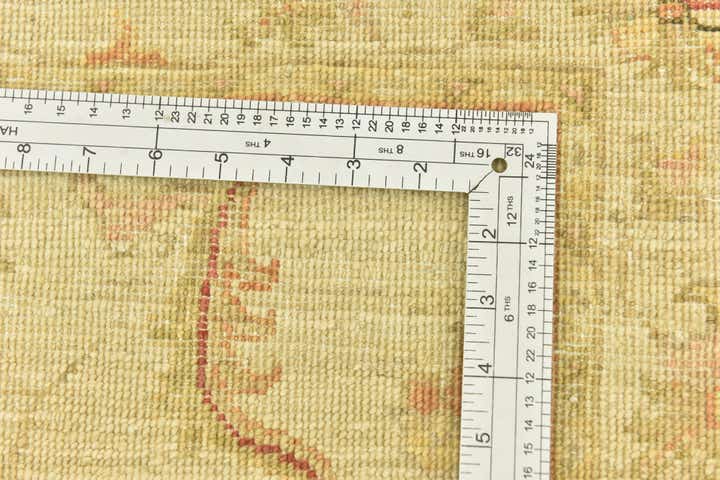 2' 8 x 6' 8 Hand Knotted Peshawar Ziegler Runner Rug