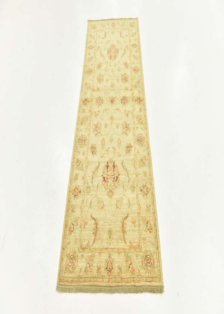 2' 8 x 6' 8 Hand Knotted Peshawar Ziegler Runner Rug