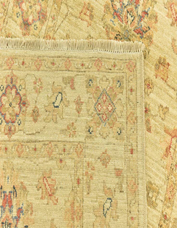 Detail image of 2' 9 x 6' 5  Hand Knotted Peshawar Ziegler Runner Rug