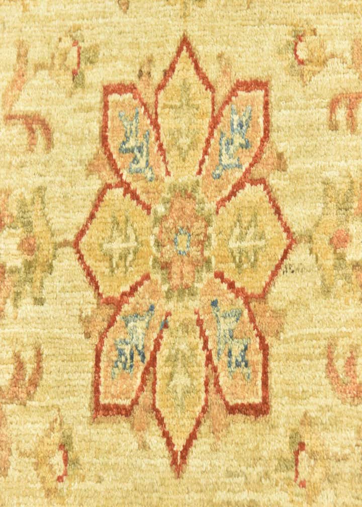 2' 7 x 6' 6 Hand Knotted Peshawar Ziegler Runner Rug