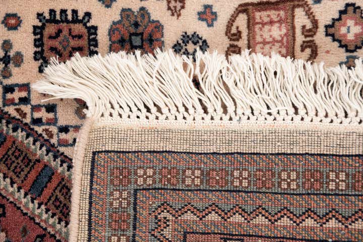3' 1 x 9' 10 Hand Knotted Shirvan Wool Runner Rug