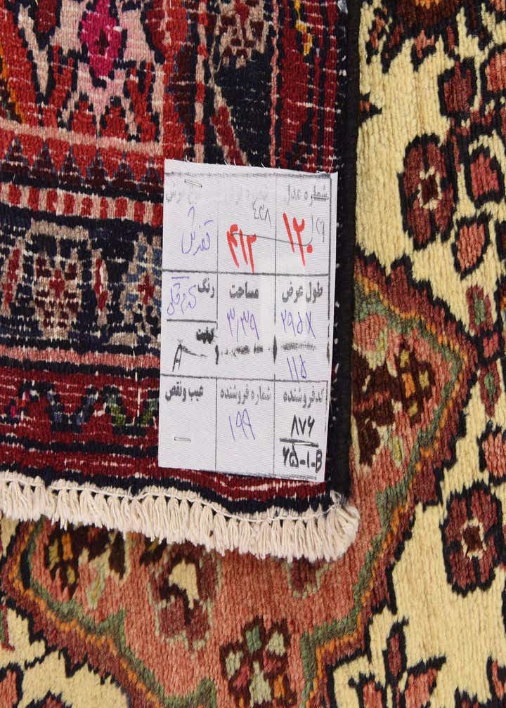 3' 7 x 9' 10 Hand Knotted Tafresh Persian Wool Runner Rug