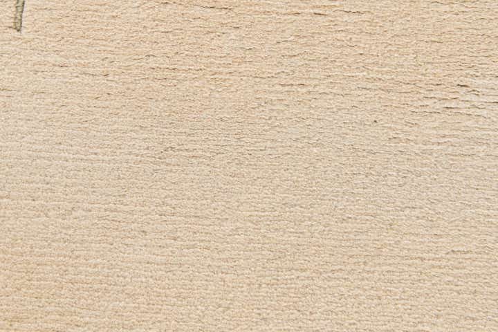 2' 8 x 9' 8 Hand Knotted Tibet Wool Runner Rug