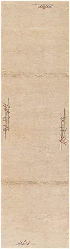 2' 8 x 9' 8 Hand Knotted Tibet Wool Runner Rug