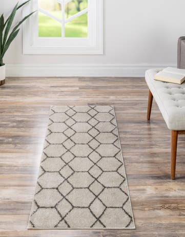 2' x 10' Trellis Frieze Runner Rug