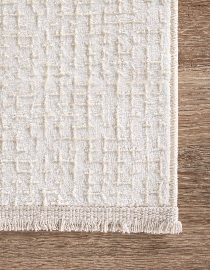 Detail image of 4' x 6' Aakaar Rug