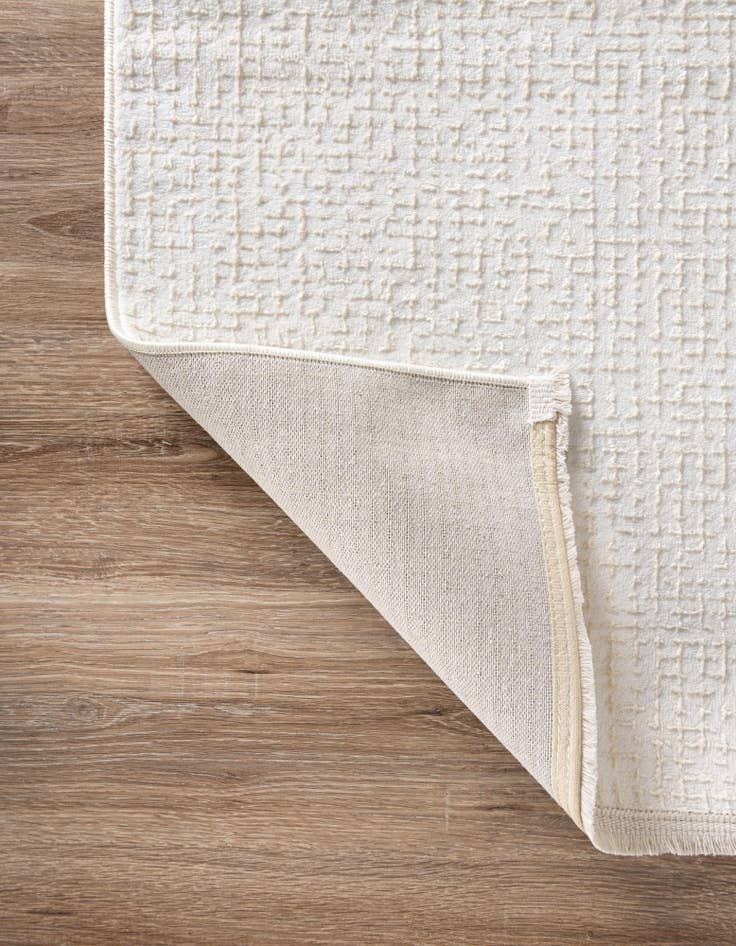 Detail image of 4' x 6' Aakaar Rug