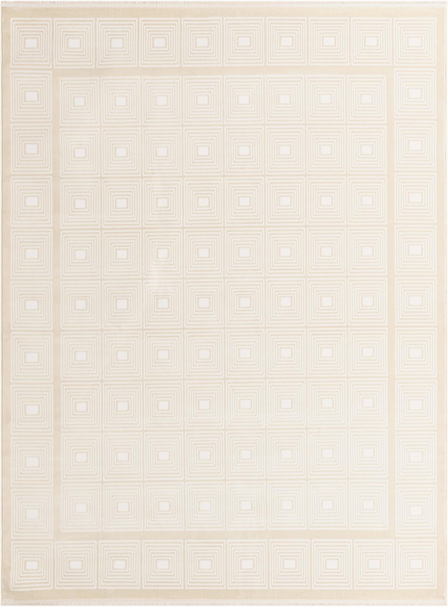 7' 10 x 10' Aakaar Rug