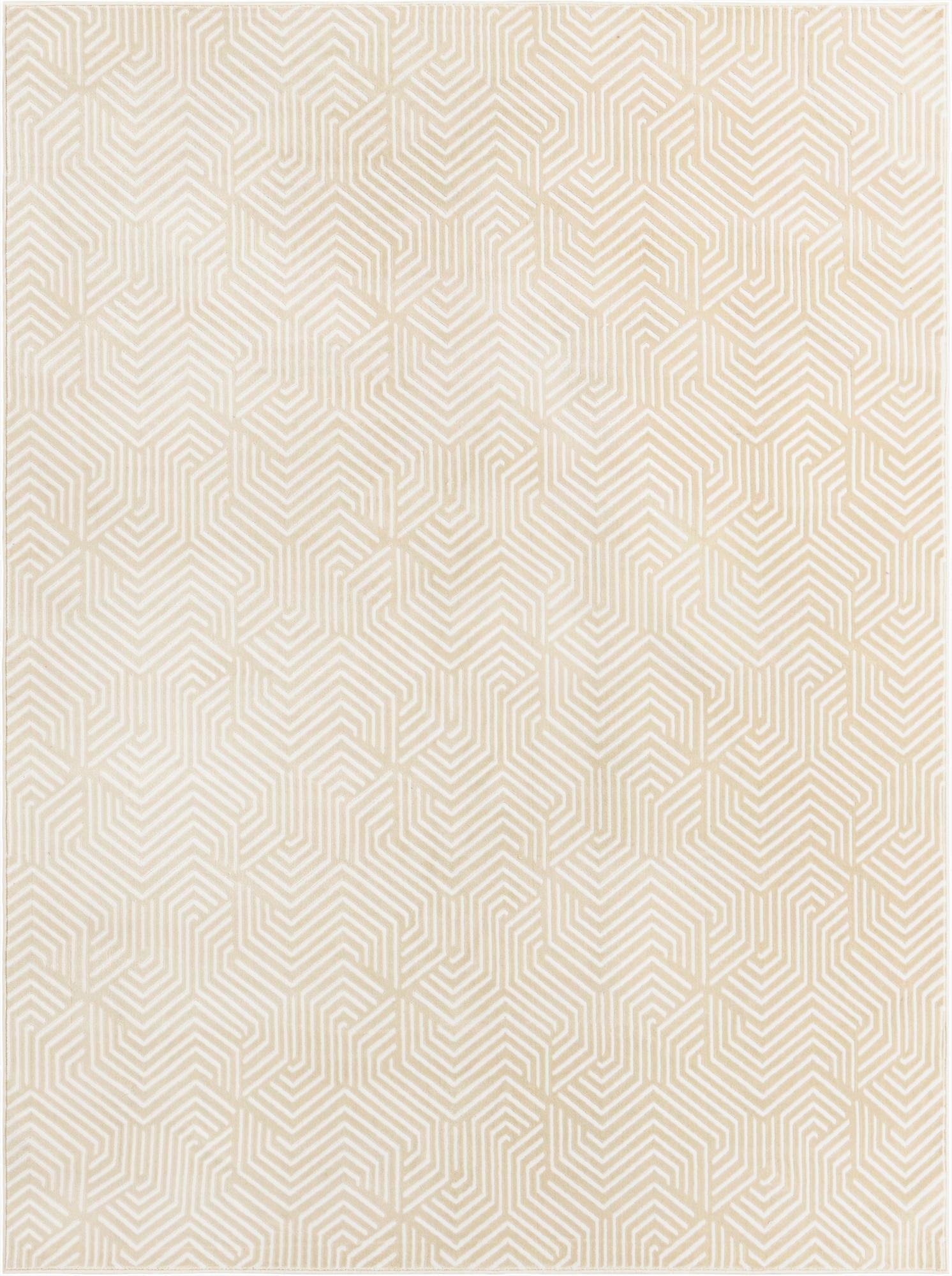 7' 10 x 10' Aakaar Rug