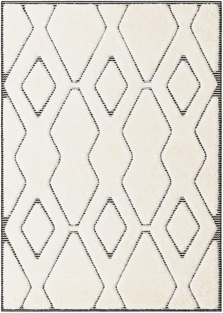 4' x 6' Prismatic Rug