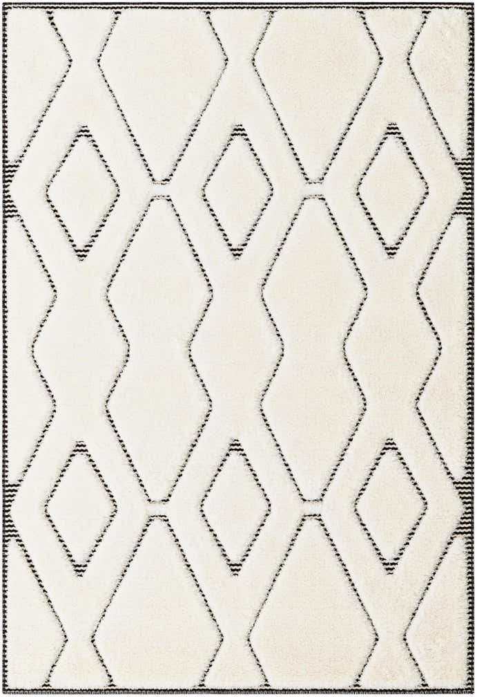 4' x 6' Prismatic Rug