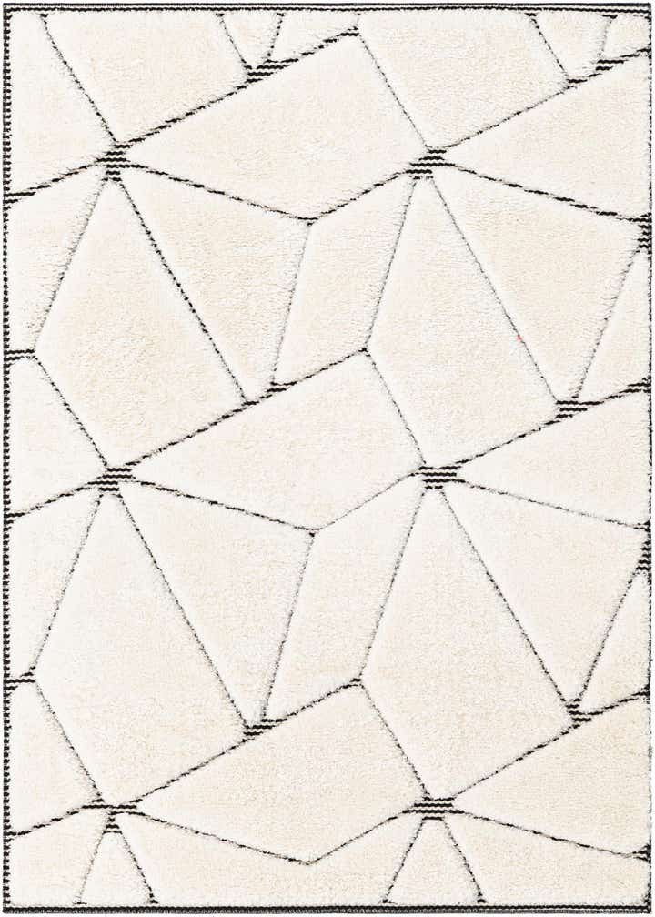 4' x 6' Prismatic Rug