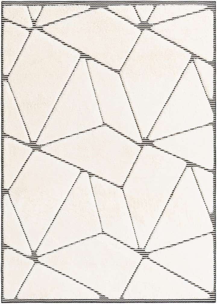 5' x 7' Prismatic Rug