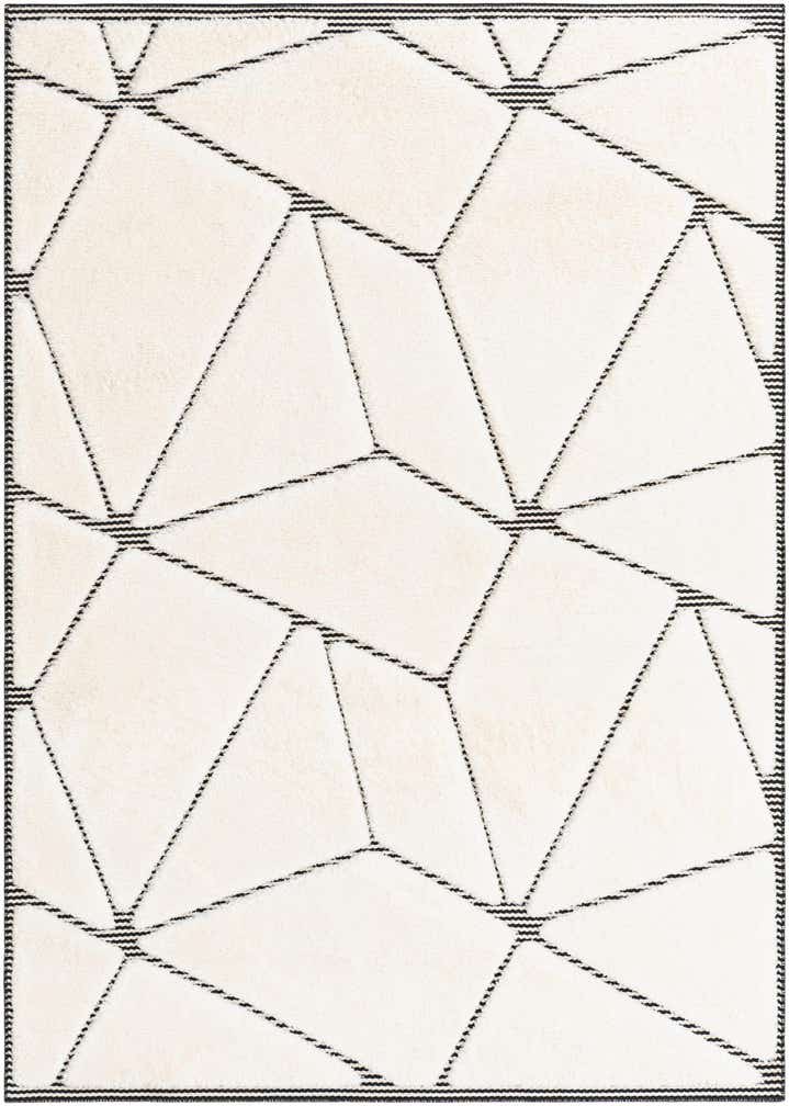 5' x 7' Prismatic Rug