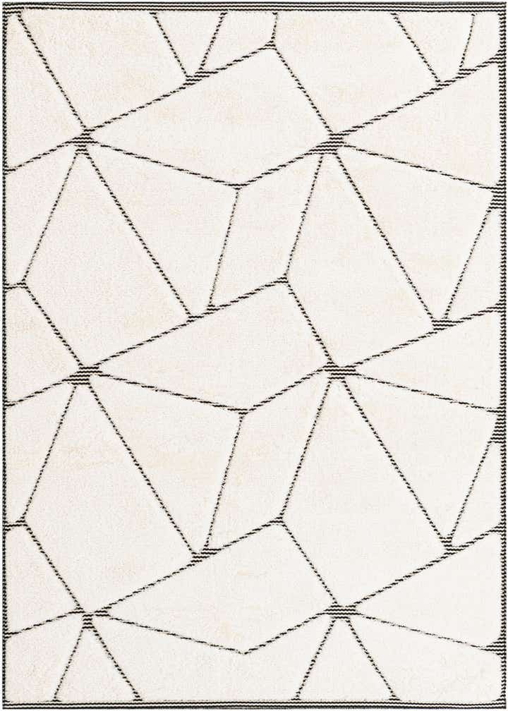 5' 3 x 8' Prismatic Rug