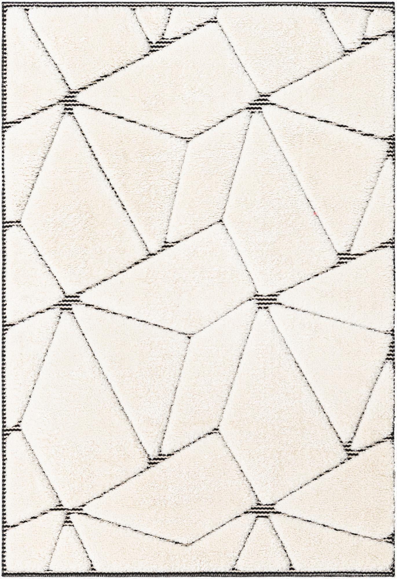 4' x 6' Prismatic Rug