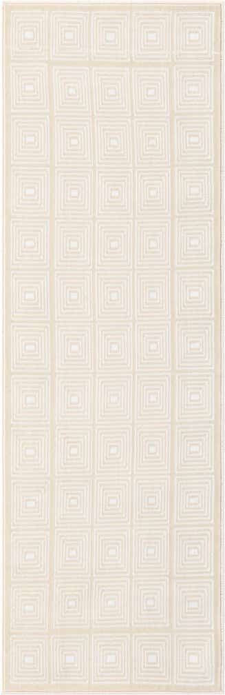 2' x 6' Aakaar Runner Rug