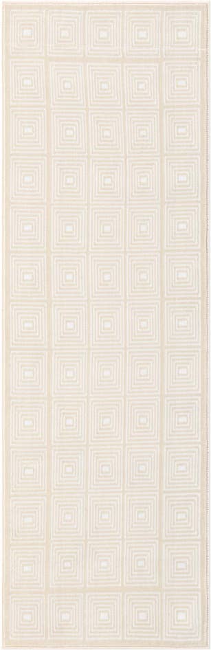 Detail image of 2' x 6' Aakaar Runner Rug