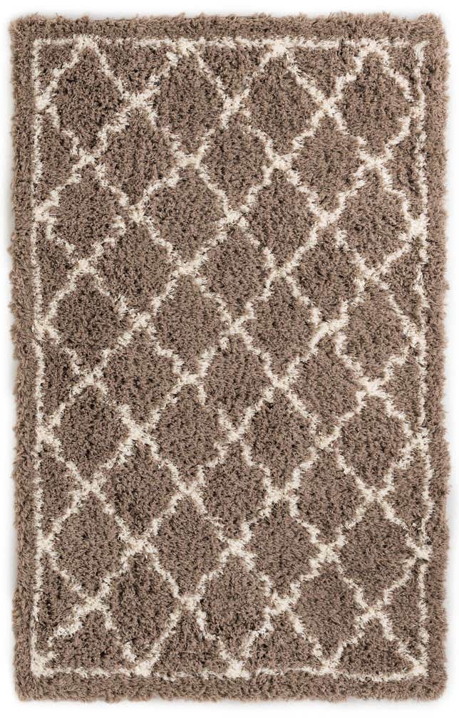 5' x 8' Infinity Shag Rug