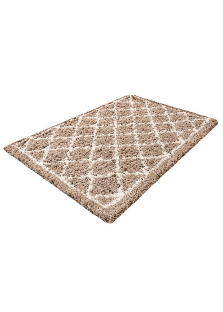 5' x 8' Infinity Shag Rug