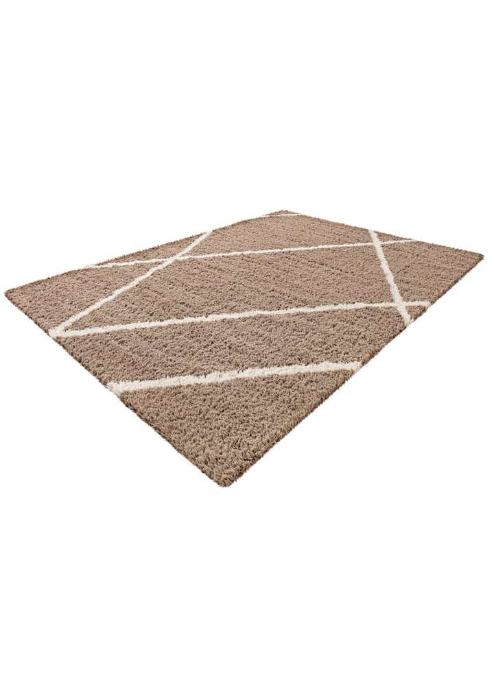 10' x 14' Infinity Shag Rug