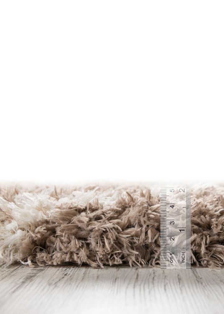 10' x 14' Infinity Shag Rug