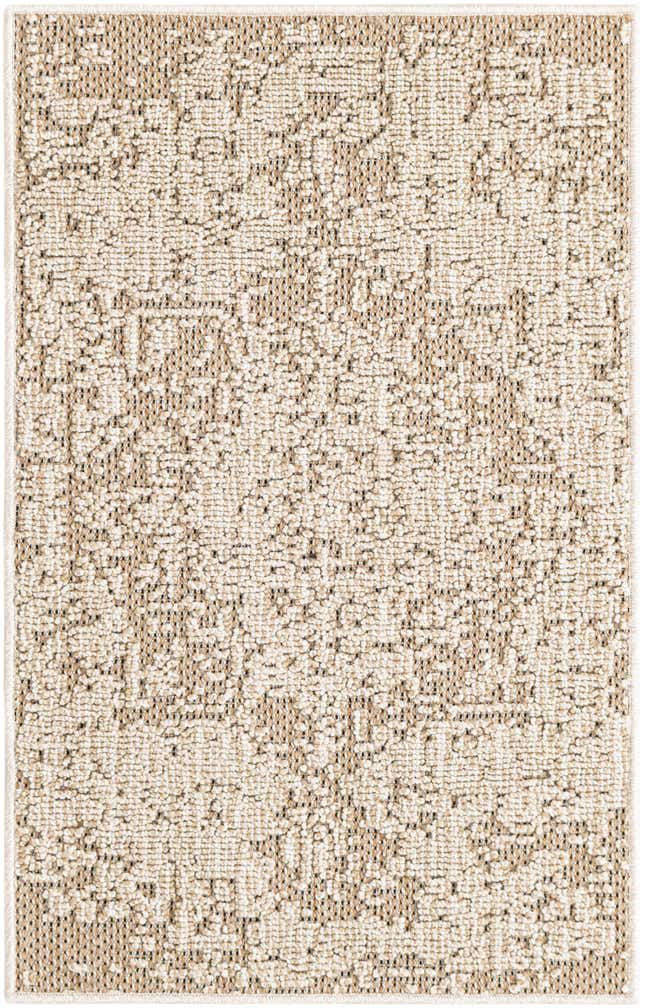 2' x 3' 1 Easy-Clean Traditional Indoor / Outdoor Rug