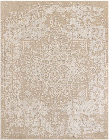 Khaki Easy-Clean Traditional Indoor / Outdoor Rug