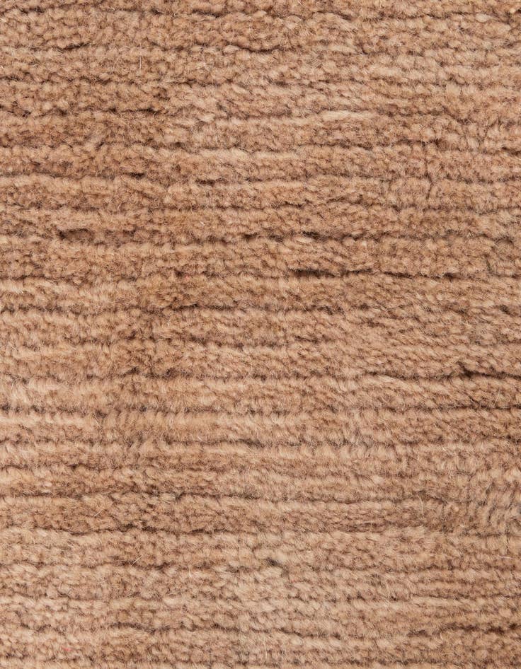 Detail image of 8' 4 x 11' 4  Hand Knotted Tibet Wool Rug