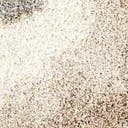 Rug Khaki Swatch link