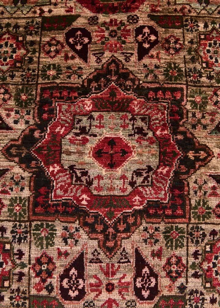 2' 2 x 3' 2 Hand Knotted Mamluk Ziegler Rug