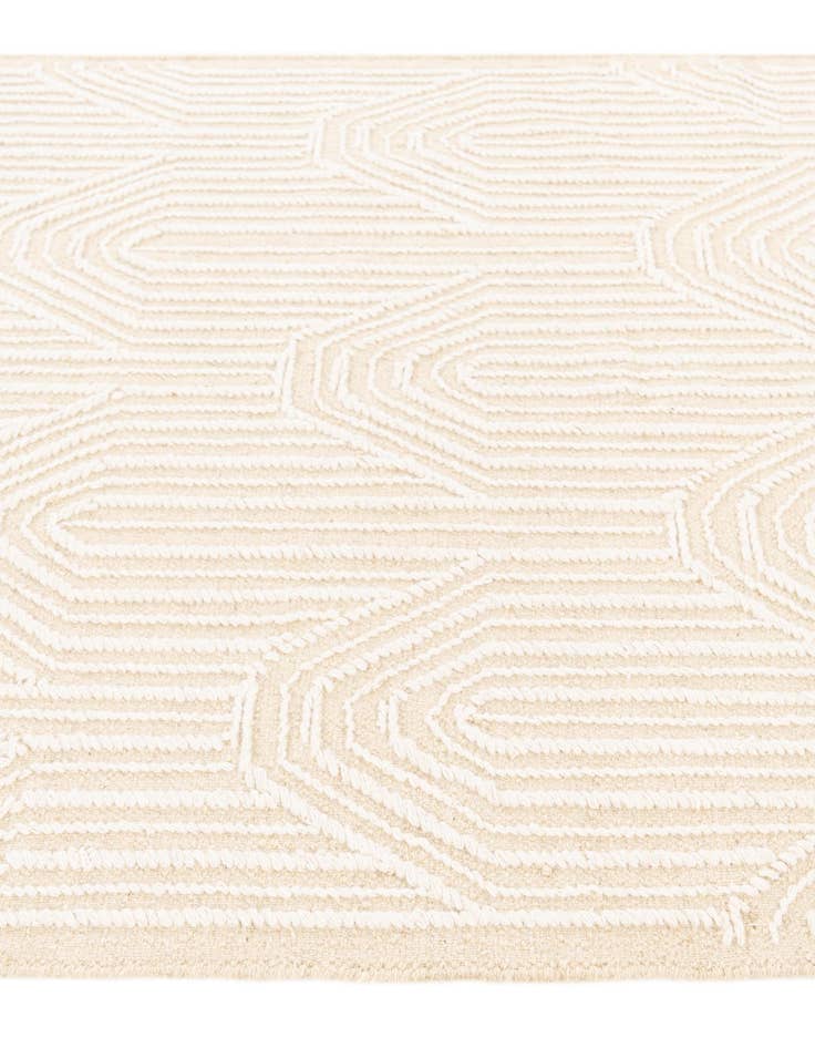 Detail image of 4' 1 x 6' 2  Hand Woven  Rug