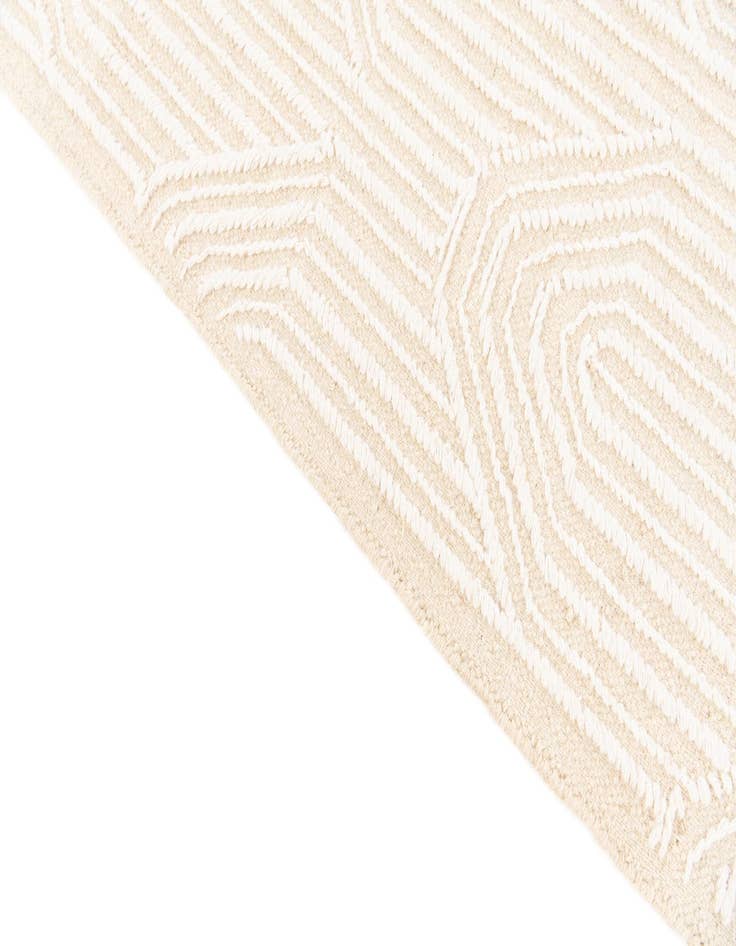 Detail image of 4' 1 x 6' 2  Hand Woven  Rug