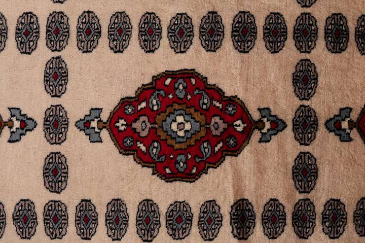 8' 3 x 9' 11 Hand Knotted Bokhara Oriental Wool Rug