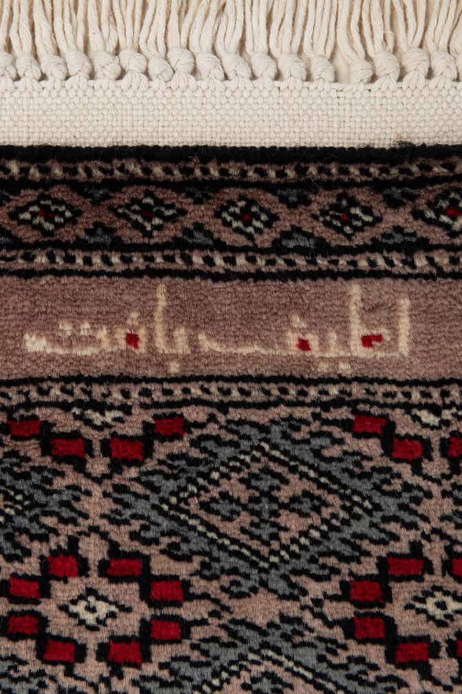 8' 3 x 9' 11 Hand Knotted Bokhara Oriental Wool Rug