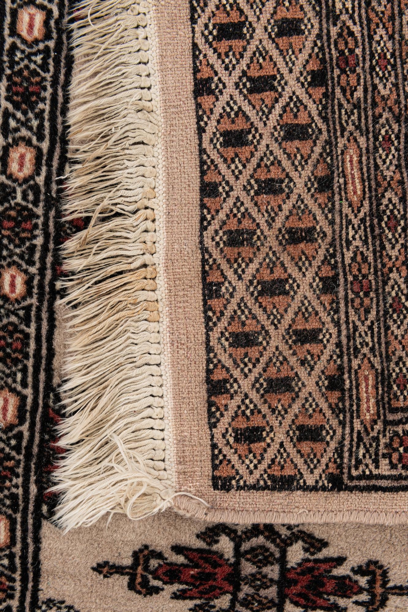 3' 1 x 4' 9 Hand Knotted Bokhara Oriental Wool Rug