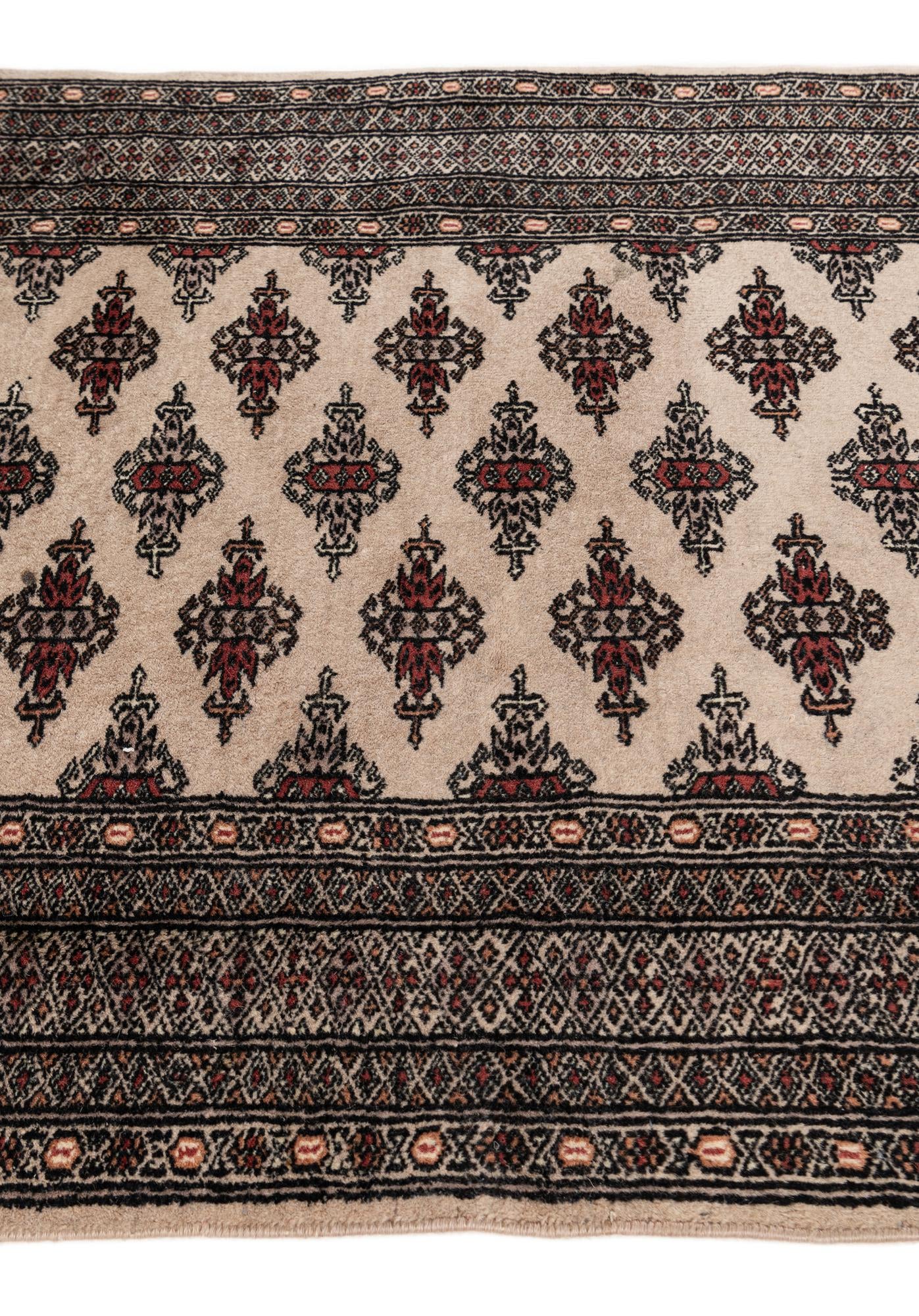 3' 1 x 4' 9 Hand Knotted Bokhara Oriental Wool Rug