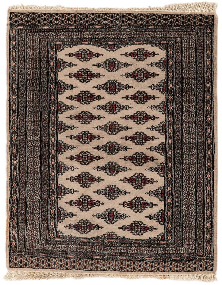 Detail image of 3' 1 x 4' 9 Hand Knotted Bokhara Oriental Wool Rug