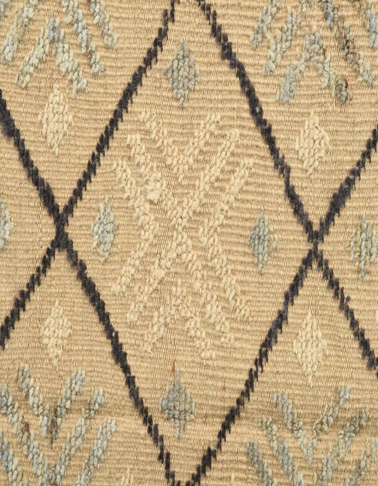 Detail image of 8' 7 x 11' 10  Hand Knotted Darya Wool Rug