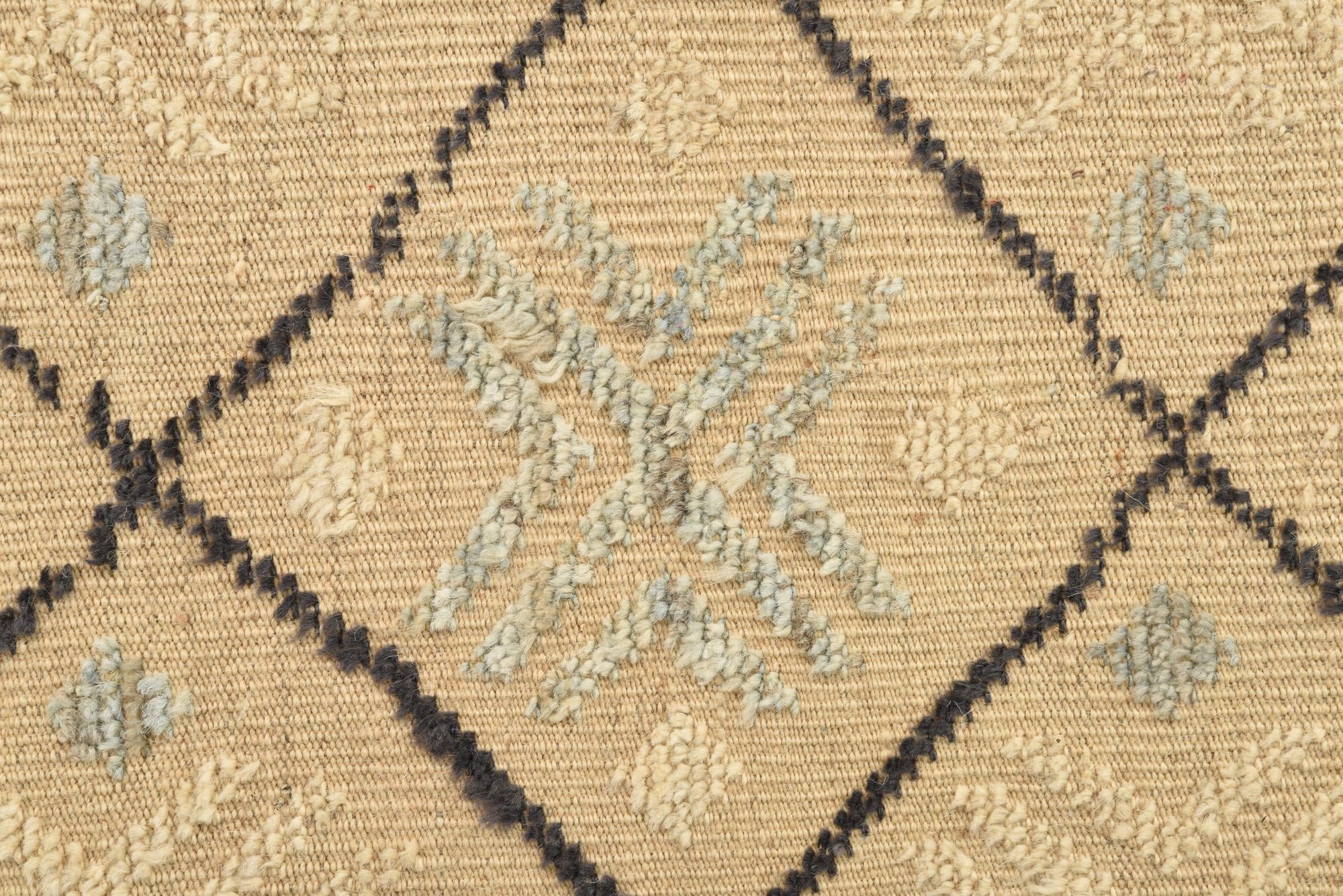 8' 7 x 11' 10 Hand Knotted Darya Wool Rug