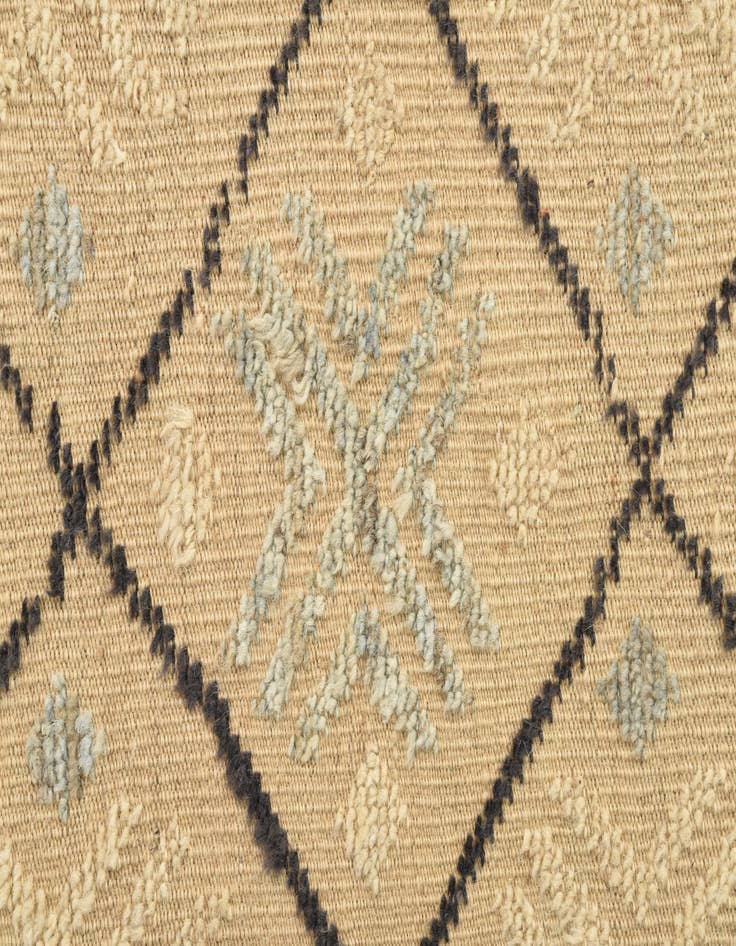 Detail image of 8' 7 x 11' 10  Hand Knotted Darya Wool Rug